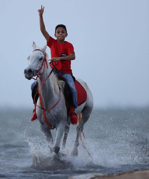Balade à cheval