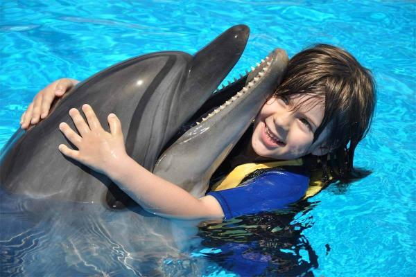 Shooting avec les dauphins