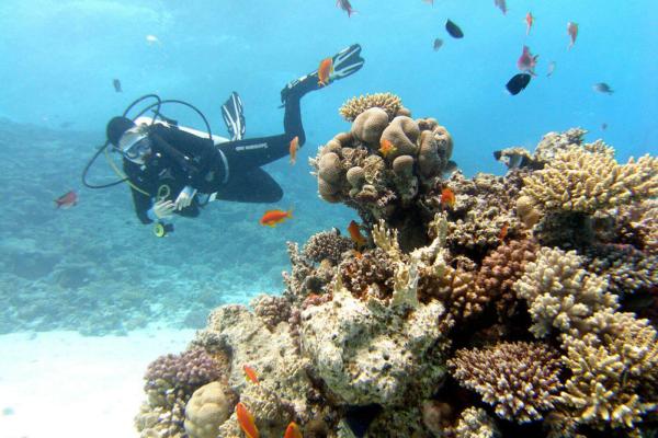 Scuba diving
