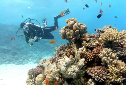 Scuba diving