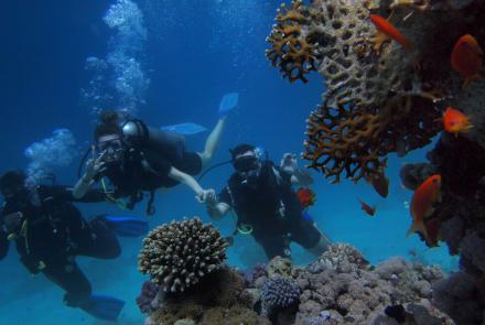 Scuba diving day