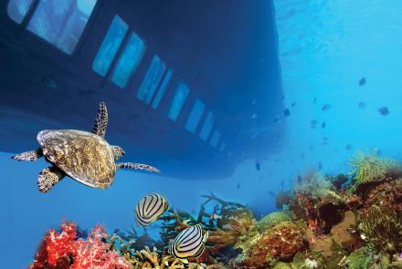 Semi-submarine and snorkeling